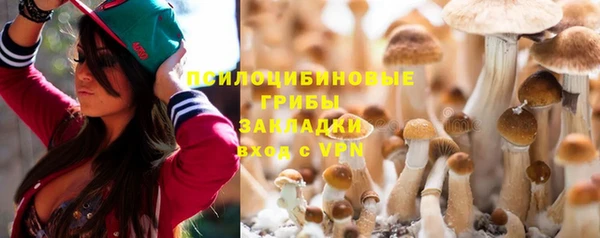 твердый Абаза