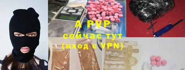 твердый Абаза