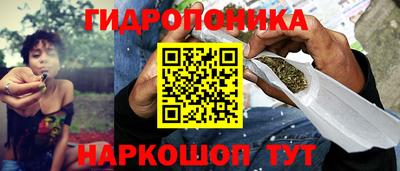 прущие крисы Пенза