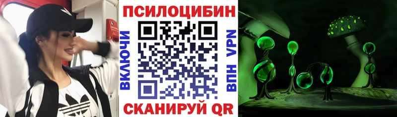 Псилоцибиновые грибы MAGIC MUSHROOMS где найти наркотики Хасавюрт